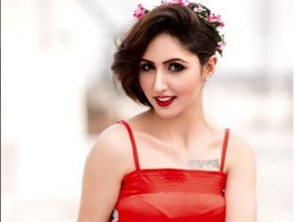 These Statements Made By Bigg Boss 10’s Akansha Sharma On Shabnam Singh Will Leave You In Shock!