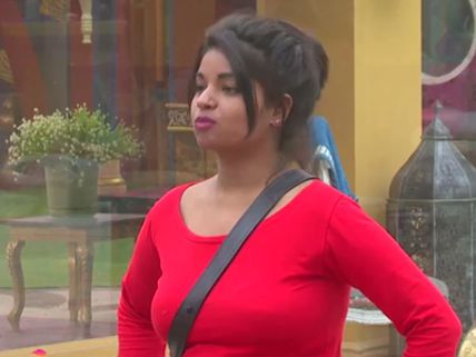 Bigg Boss 10: Rahul Dev Loses His Cool With Lokesh Sharma!