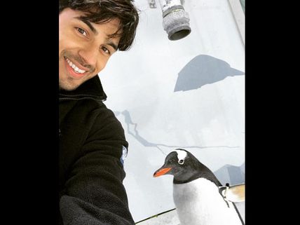 Sidharth Malhotra Meets The Coolest Penguin In New Zealand!
