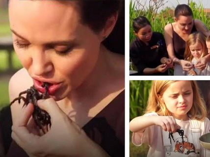Shocking! Angelina Jolie And Her Children Eat Tarantulas