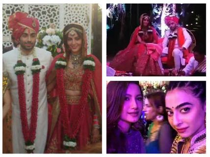 Mandana Karimi-Gaurav Gupta Wedding Bash: Bani, Gauhar, Shahid-Mira & Others Attend (PICS)