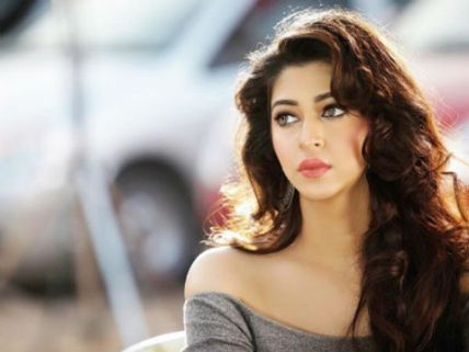 Youth Held For Harassing TV Actress Sonarika Bhadoria!