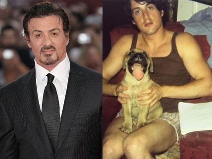 Sylvester Stallone's Dog Butkus Inspired Him For Rocky