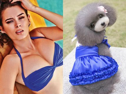 Funny Pictures Of Evelyn Sharma's Outfits Matching Little Puppies & Cute Doggies!