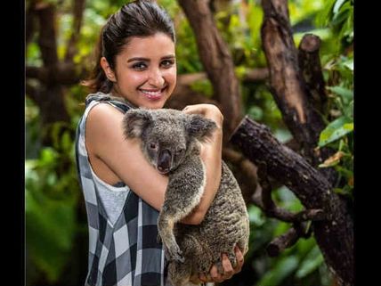 Parineeti Chopra: There Is A Lot Of Genuine Camaraderie Amongst The Actors In The Industry