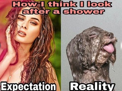 Evelyn Sharma Asks Fans To Create Her Own Memes! They End Up Creating A Laugh Riot
