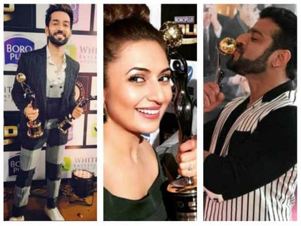 Zee Gold Awards 2017: Divyanka Tripathi, Nakuul Mehta, Karan Patel & Others Share Pics With Awards