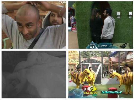BB 11: Akash Goes Bald; Puneesh-Bandgi Lock Themselves In Bathroom; Ben-Priyank Share A Bed & More…