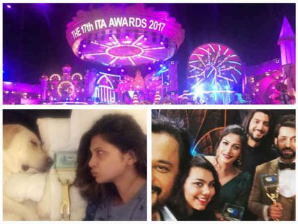 ITA Awards 2017 Winners List: Vivian Dsena, Nakuul Mehta, Jennifer Winget & Others Bag Awards (PICS)