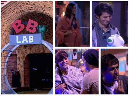 Bigg Boss 11: Vikas Slams Akash & Priyank; Luv Dresses Like A Girl; Arshi Acts Pregnant!