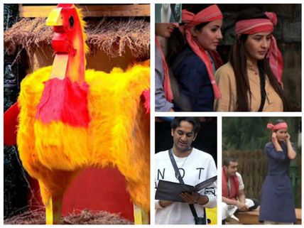 Bigg Boss 11: BB Reprimands Hina; Shilpa & Hina Join Hands; 4 Contestants To Fight For Captaincy!