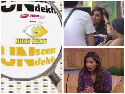 Bigg Boss 11 UNSEEN! Arshi Khan’s DIRTY Question Embarrass Vikas Gupta!