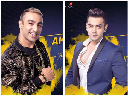 Bigg Boss 11: SHOCKING! Not Luv Tyagi But Akash Dadlani Is Sent To The Mall!