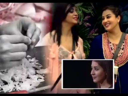 Bigg Boss 11: Reasons Why Shilpa Shinde Deserves To Win The Show; Watch Her BB 11 Journey