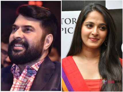 Mammootty And Anushka Shetty To Team Up For A Movie?