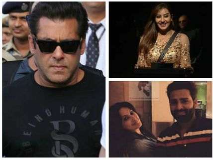 Blackbuck Poaching Case: Shilpa Shinde, Suyyash Rai & Other TV Actors Support Salman Khan