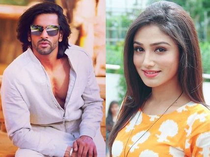 Roop - Mard Ka Naya Swaroop: Shashank Vyas To Play Grown-up Roop, Donal Bisht To Join Him!