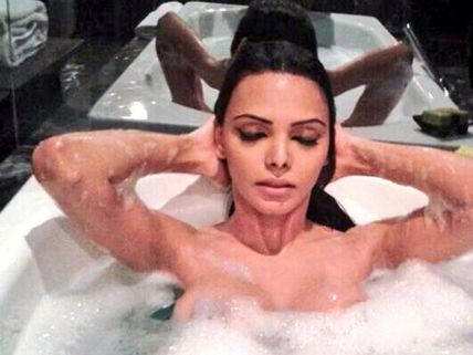 Sherlyn Chopra's Topless Pictures Are Too Hot To Resist!