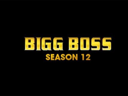 Bigg Boss 12 Format Changed? You Might Miss Watching Your Favourite Celebrity Jodi! 