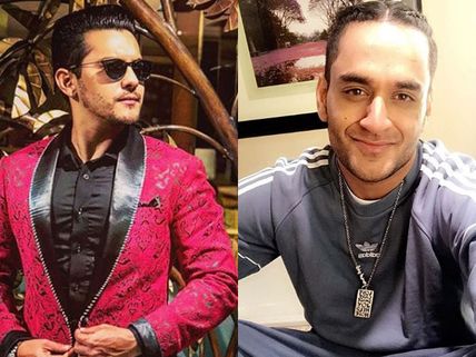 Khatron Ke Khiladi 9: Vikas Gupta Gets Bitten By A Snake In An Attempt To Save Bharti Singh!