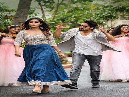  Shailaja Reddy Alludu 6 Days' Box Office Collections: Chay's Film Collapses Big Time!