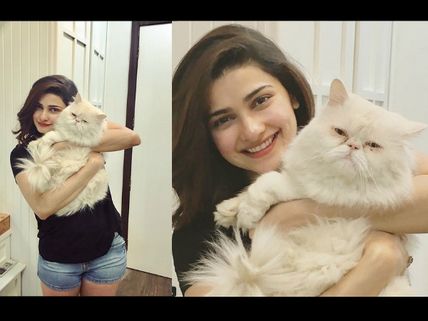 Happy Birthday Prachi Desai: 5 Times The Actress Got 'Catty' On Instagram!