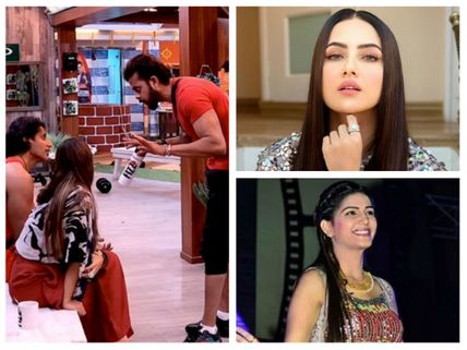 Bigg Boss 12: Sreesanth Derogatory Comments On KV & Vikas; Sapna Chaudhary & Sana Khan To Enter!