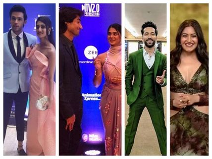 Indian Telly Awards 2019: Jennifer-Harshad, Parth-Erica, Hina, Surbhi & Others Sizzle At Red Carpet
