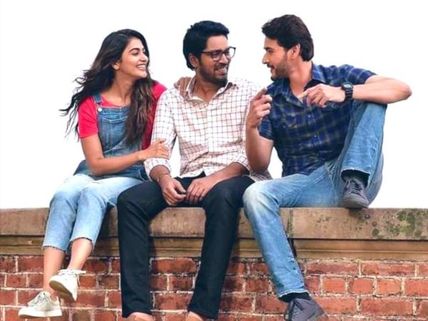 Maharshi Completes 50 Days At Worldwide Box Office: Mahesh Mania Runs Wild