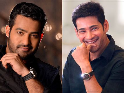 Jr NTR A Better Actor Than Mahesh Babu? Director’s Shocking Statement Goes Viral