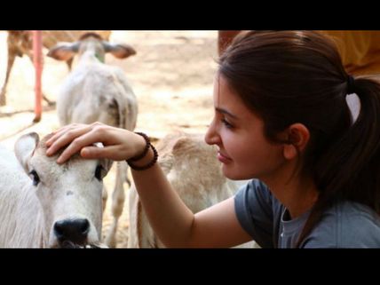 Anushka Sharma Campaigns For Stricter Laws Against Animal Cruelty