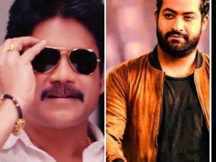 Nagarjuna Beats Jr NTR: Tarak Fans Clash With Akkineni Loyalists; Insults Exchanged