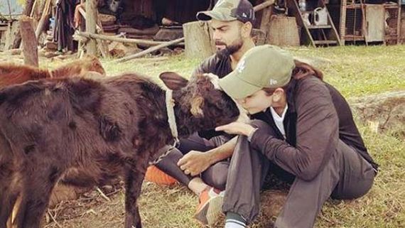Anushka Sharma And Virat Kohli Are Petting Calves In These Photos: It's Cuteness Overloaded
