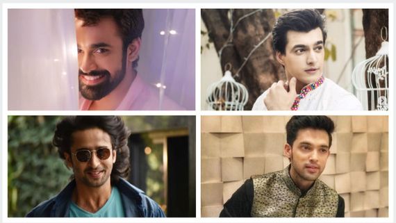 Best Of 2019: Pearl V Puri To Parth Samthaan - 7 Actors Who Ruled Television This Year