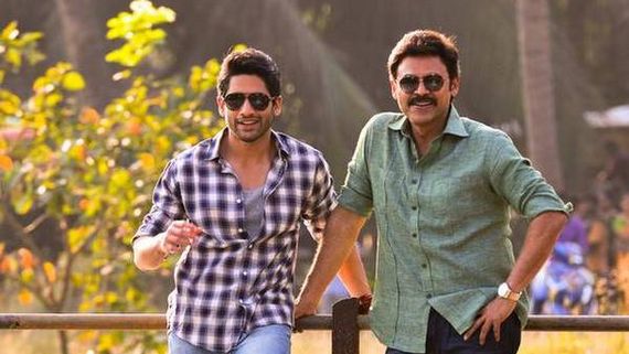 Venky Mama Box Office Collection (11 Days): A Decent Outing For The Venkatesh-Naga Chaitanya Movie 