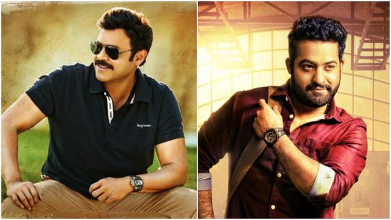 Venkatesh Expresses His Wish To Act With Jr NTR!