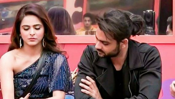Bigg Boss 13: Madurima Says Vishal Had Hit Her In Past; Adds She Was Mentally Traumatised