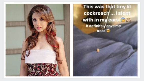 Khatron Ke Khiladi 10: Adaa Reveals She Slept With Cockroach In Her Ear; Suffered Scorpion Allergy