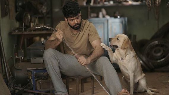 Director Kiranraj K On Shooting Rakshit Shetty Starrer 777 Charlie Amidst Coronavirus Outbreak