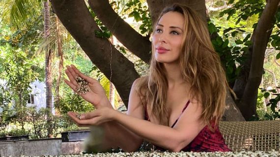 Iulia Vantur On Marrying Salman Khan: My Parents Ask Me The Same Question; I Tell My Mom… 