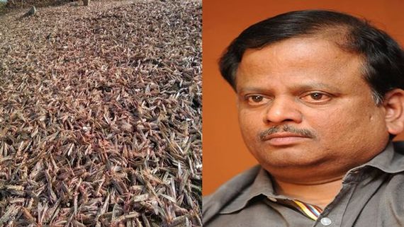 ‘Locust Attack Worries Me’, Says Kaappaan Director KV Anand