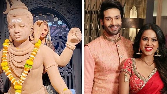 Naagin 4: Not Just Rashami Desai, Even Nia Sharma & Vijayendra Kumeria Might Exit; Show To End Soon!