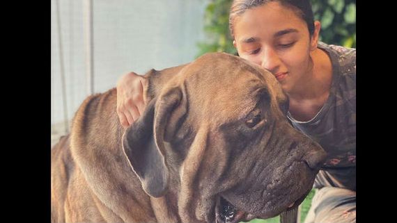 Alia Bhatt Bonds With Ranbir Kapoor’s Pet & The Pictures Are Adorable! 