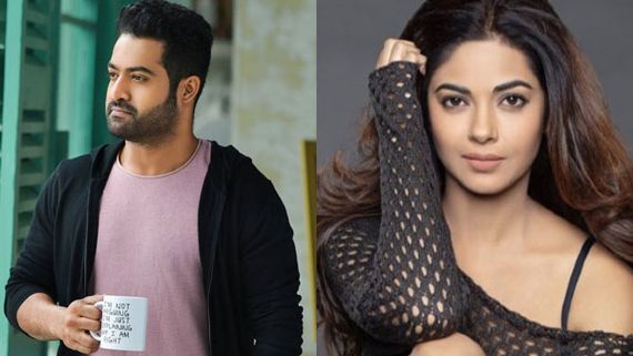 Jr NTR Fans Abuse Meera Chopra On Social Media For This Reason!
