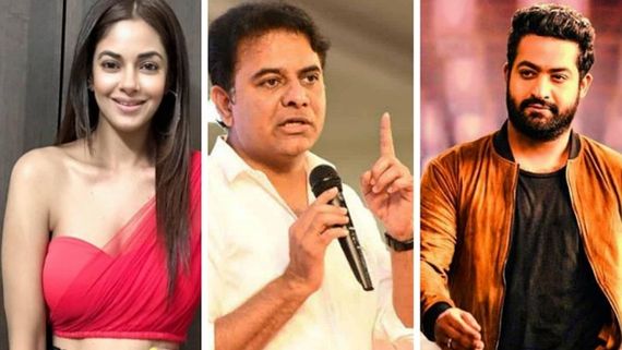 Meera Chopra Takes The Jr NTR Fans' Hate Campaign Issue To KTR, The Minister Assures Stern Action