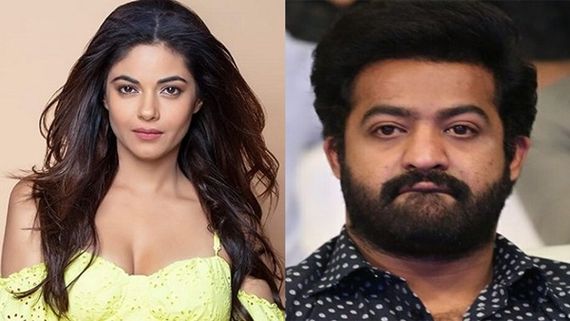 Meera Chopra Files Complaint Against Jr NTR Fans For Abusing Her On Social Media