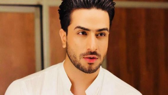 Aly Goni Is Not Participating In Bigg Boss 14 Because Of Boney Kapoor Produced Web Series Zidd