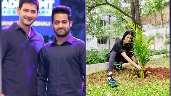 Shruti Haasan Takes Up Mahesh Babu’s Green India Challenge; Social Media Awaits Jr NTR’s Pictures!