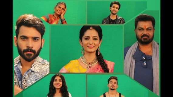 Bigg Boss Telugu 4 Voting Process: Know How To Vote For Your Favourite Contestants!