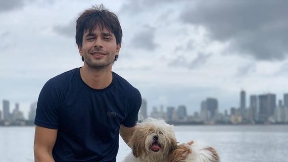 Dil Toh Happy Hai Ji Actor Ansh Bagri Tests COVID-19 Positive; Says He Is In Isolation